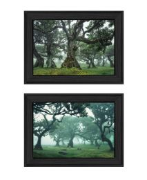 "Enchanted Forest Collection" 2-Piece Vignette By Martin Podt; Ready to Hang Framed Print; Black Frame