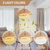 20 Inch Bamboo ceiling fan lights