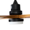 52" Canyon 3-Blade LED Ceiling Fan with Remote Control