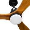 52" Canyon 3-Blade LED Ceiling Fan with Remote Control