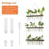 3-Tier Wall Hanging Planter Glass Hydroponic Vase Plant Flower Propagation Tube Planter Terrarium with Wooden Stand