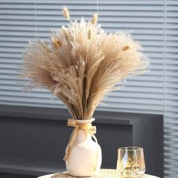 Phragmites Dried Flowers Bouquet Long Bouquet Reed Dried Natural Dried Pampa Grass Bouquet Home Wedding Living Room Decoration (Color: 60pcs  No vase)