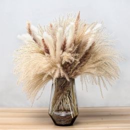 Phragmites Dried Flowers Bouquet Long Bouquet Reed Dried Natural Dried Pampa Grass Bouquet Home Wedding Living Room Decoration (Color: 62pcs  No vase)