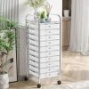 Rolling Storage Cart Organizer with 10 Compartments and 4 Universal Casters