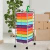 Rolling Storage Cart Organizer with 10 Compartments and 4 Universal Casters