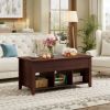 Lift Top Coffee Table with Storage Lower Shelf